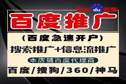 竞价广告案例分享：XX电商平台的成功秘诀